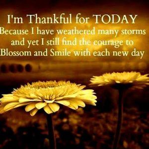 Meet your Posher, Sherry